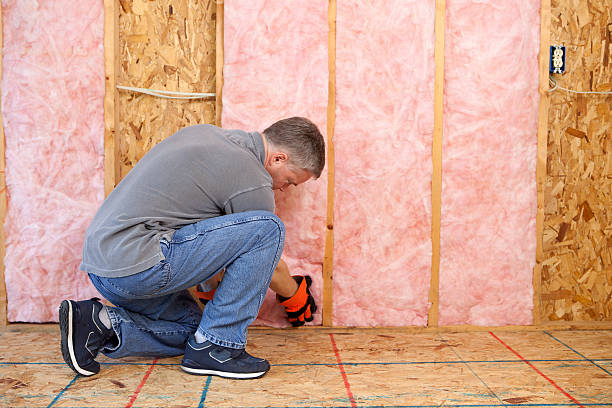 Best DIY Insulation Kits and Guidance in Sloan, NY